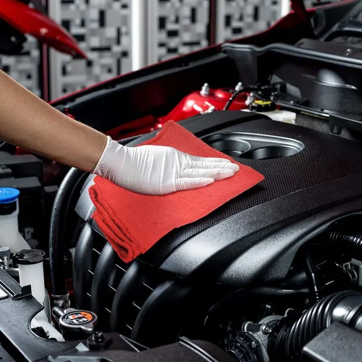 Engine Cleaning 1